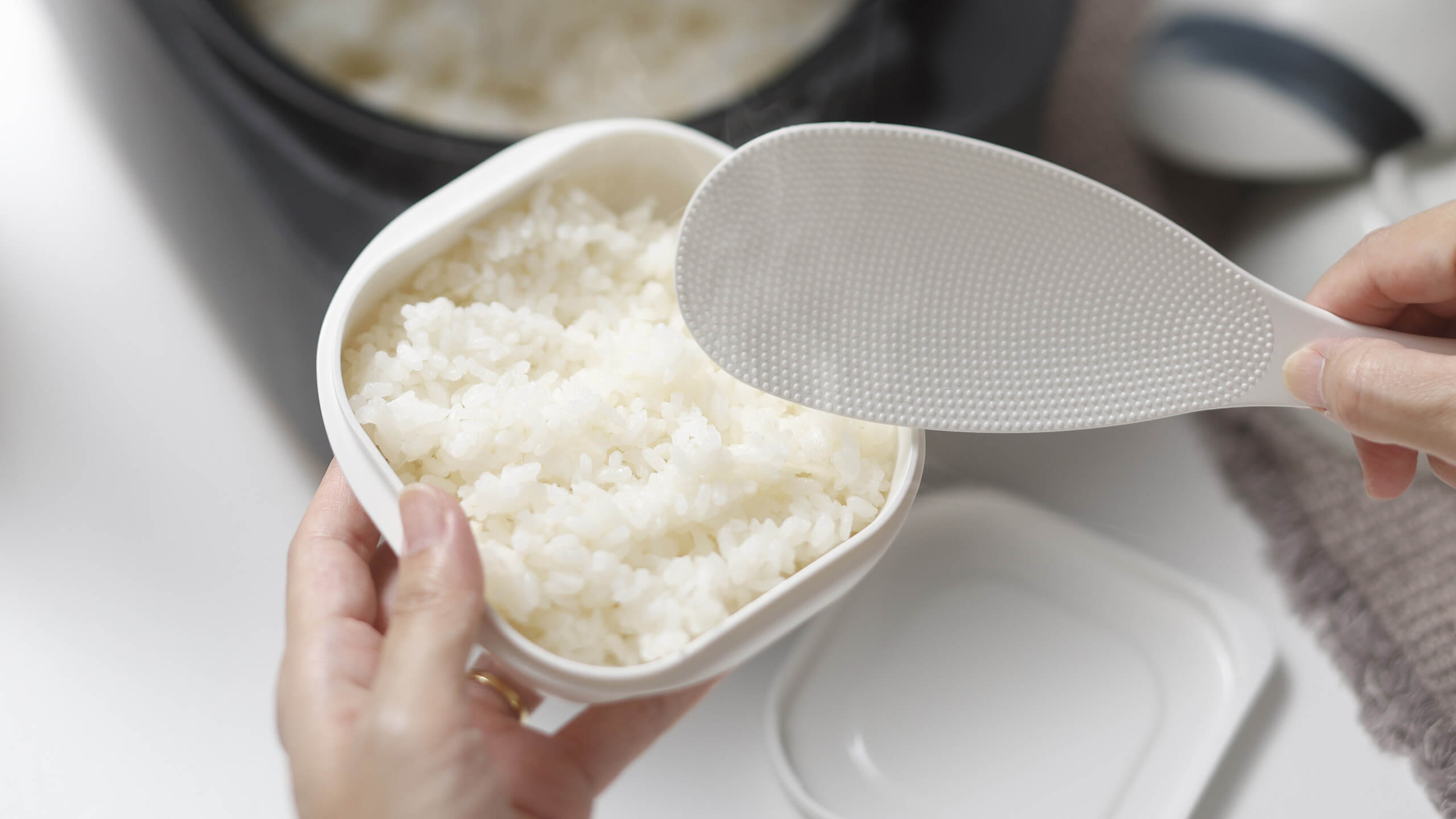 ご飯を入れる別角度の公式使用例。約180gは一膳分としての目安です。